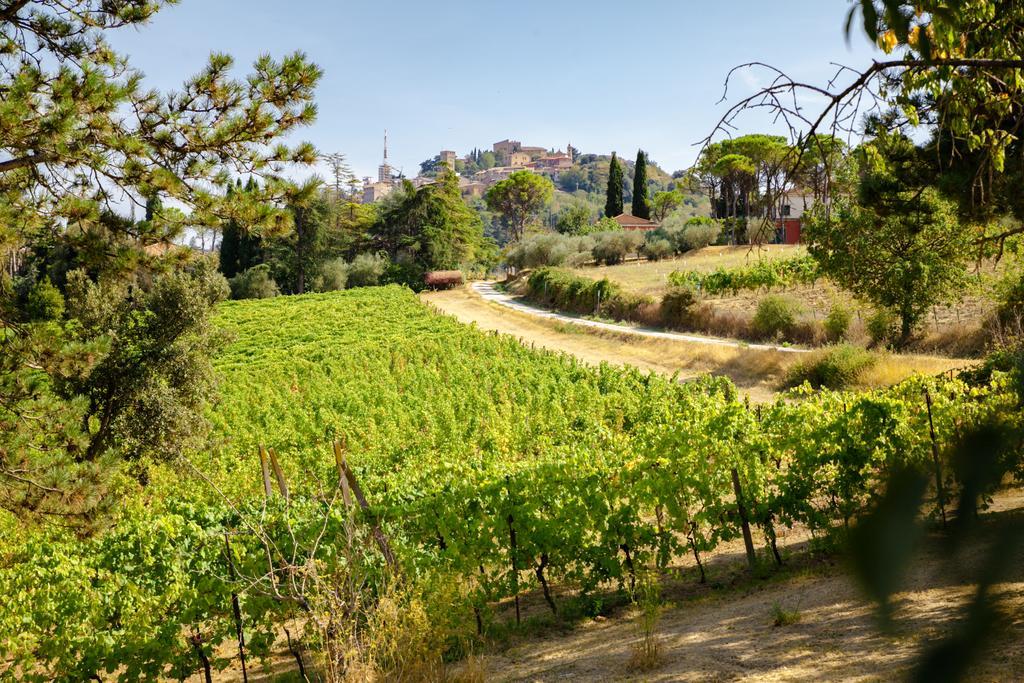 Il Vigneto Cottage Bertinoro Kültér fotó