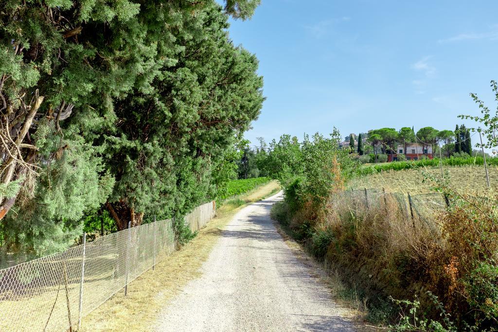 Il Vigneto Cottage Bertinoro Kültér fotó