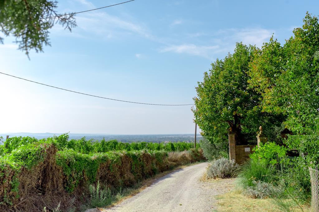 Il Vigneto Cottage Bertinoro Kültér fotó