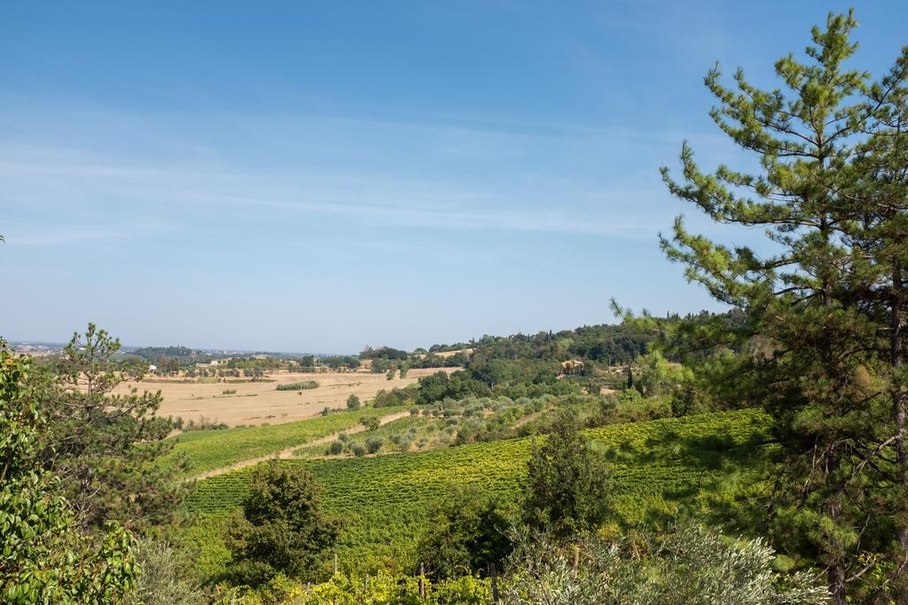 Il Vigneto Cottage Bertinoro Kültér fotó