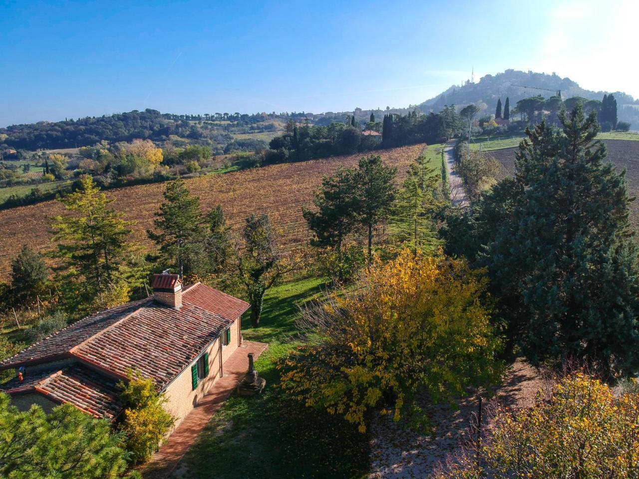 Il Vigneto Cottage Bertinoro Kültér fotó